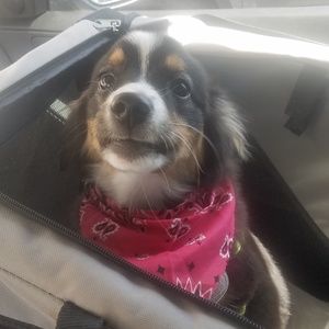 Meet your Posher, Erica